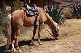 PERU - Sito agricolo di Moray - 15